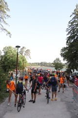 IMG 5094